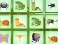Spel Find The Insect online