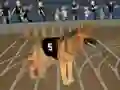 Spel Crazy Dog Racing Fever online