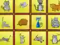 Spel Cats Findiff online
