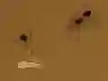 Spel Save the crumb online