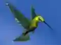 Spel Hummingbird House Escape online