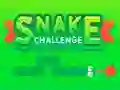 Spel Snake Challenge online