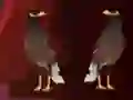 Spel Peikin Duck Escape online