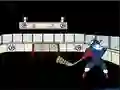 Spel Capitaine Cage Hockey online