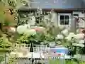 Spel Flower Garden online
