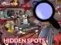 Spel Hidden Spots In The Room online