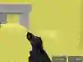 Spel Pixel Combat Multiplayer online