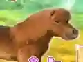 Spel My Dear Pony online