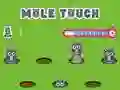 Spel Pole Touch online