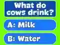 Spel Trivia Best Family Quiz online