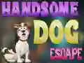 Spel Handsome Dog Escape online