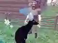 Spel Deer Simulator 3D online