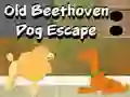 Spel Old Beethoven Dog Escape online