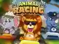 Spel Animal Racing online