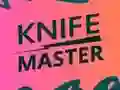 Spel Knife Master online