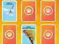 Spel National Geographic Kids Matching online