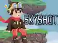 Spel Skyshot online