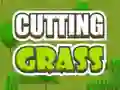 Spel Cutting Grass online