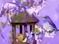 Spel Wonderful Humming Bird Land Escape online