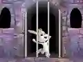 Spel Victory Rabbit Escape online