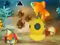 Spel Save The Mother Fish online