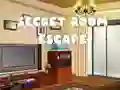 Spel Secret Room Escape online