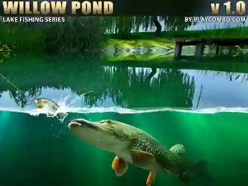 Spel Willow Pond online