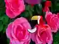 Spel Precious Rose Escape online