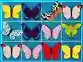 Spel King Of Mahjong online