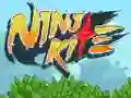 Spel Ninja Kite online