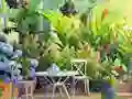 Spel Find The Cute Pandas online
