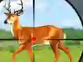 Spel Wild Hunt Hunting Games 3D online