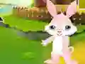 Spel Find The Buddy Rabbit online