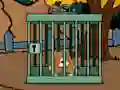Spel Staffordshire Bull Terrier Escape online