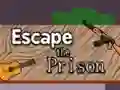 Spel Escape the Prison online