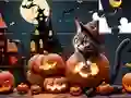 Spel Jigsaw Puzzle: Halloween Cat online