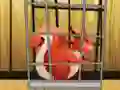Spel Rescue The Red Squirrel From Cage online