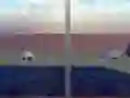 Spel Escape from the House with Turtles online
