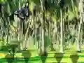 Spel Rescue Tasmanian Tiger online