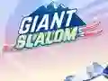 Spel Giant Slalom online