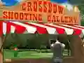 Spel Crossbow Shooting Gallery online