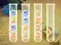 Spel Sort Bubbles online