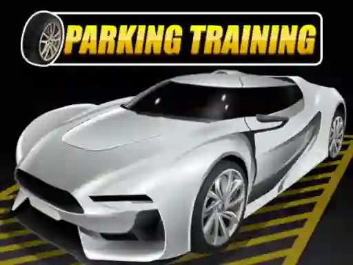 Spel Parking Training online