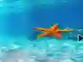 Spel Escape From Underwater Starfish online