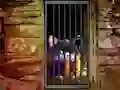Spel Hidden Cat Escape online