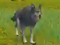 Spel The Wolf: Wild Animal Simulator online