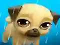 Spel My Virtual Pet Louie the Pug online
