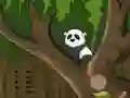 Spel Panda Jungle Escape online