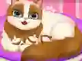 Spel Cute Kitty Pregnant online