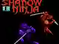 Spel Shadow of the Ninja online